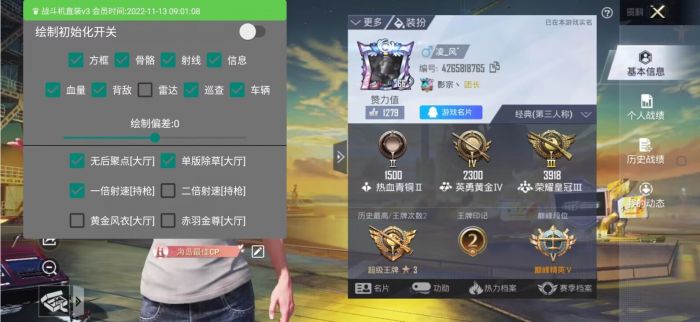 和平精英透视挂永久免费 - 多平台支持防封版本